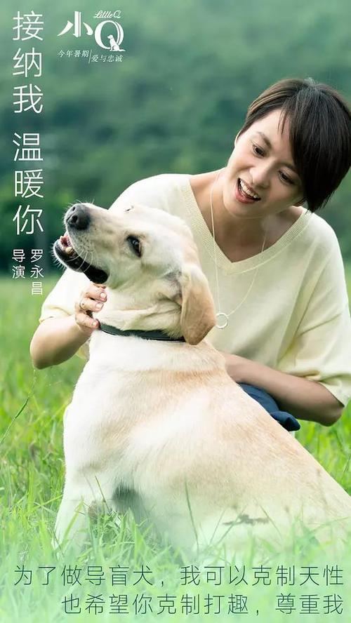 办做个邮政银行ATM机转账回执单